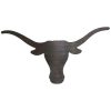 Texas longhorn head wall art featuring the Branding Iron Buffalo.